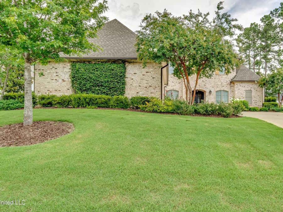 Property Image 61