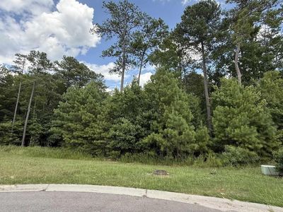 542 Golden Rod Court, Columbia, SC 29016