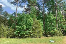 542 Golden Rod Court photo 4