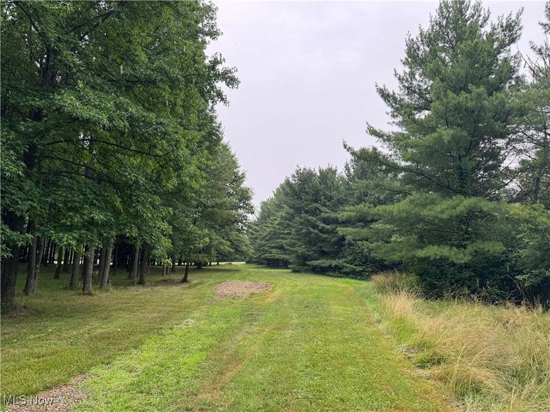 Winding Woods Trail, Medina, OH 44256 Photo 12