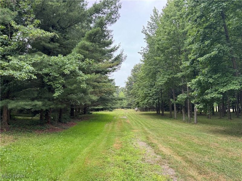 Winding Woods Trail, Medina, OH 44256 Photo 13