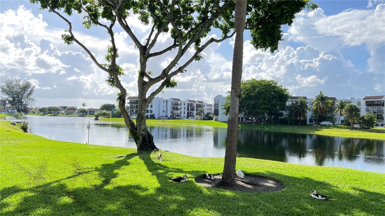 12219 SW 14th Ln, Unit 2405, Miami, FL 33184 Photo