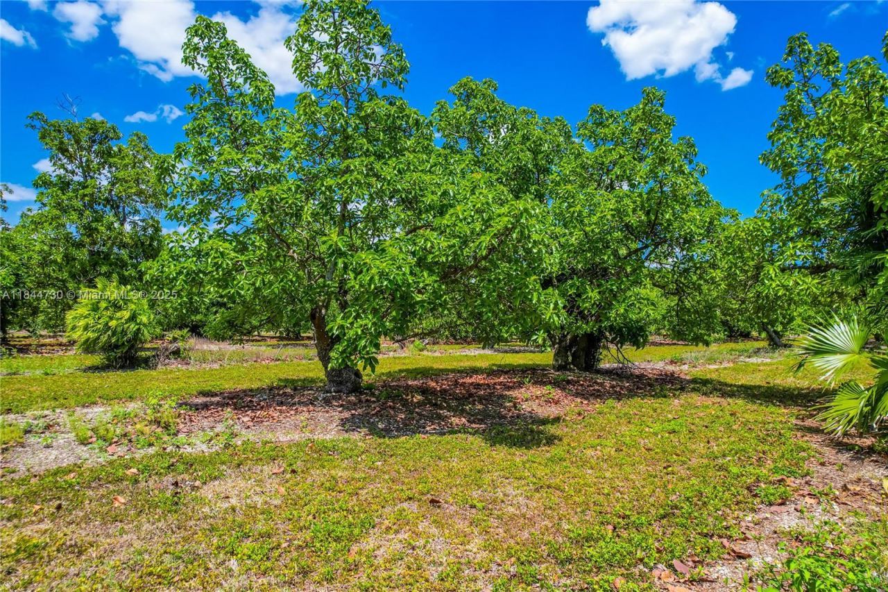 254xx SW 217ave, Homestead, FL 33031 Photo