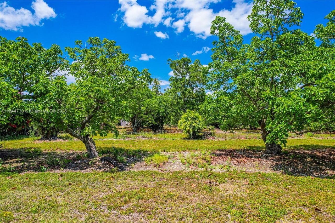 254xx SW 217ave, Homestead, FL 33031 Photo