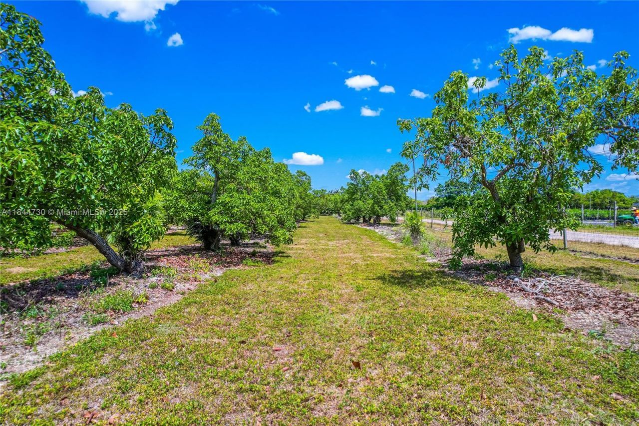 254xx SW 217ave, Homestead, FL 33031 Photo