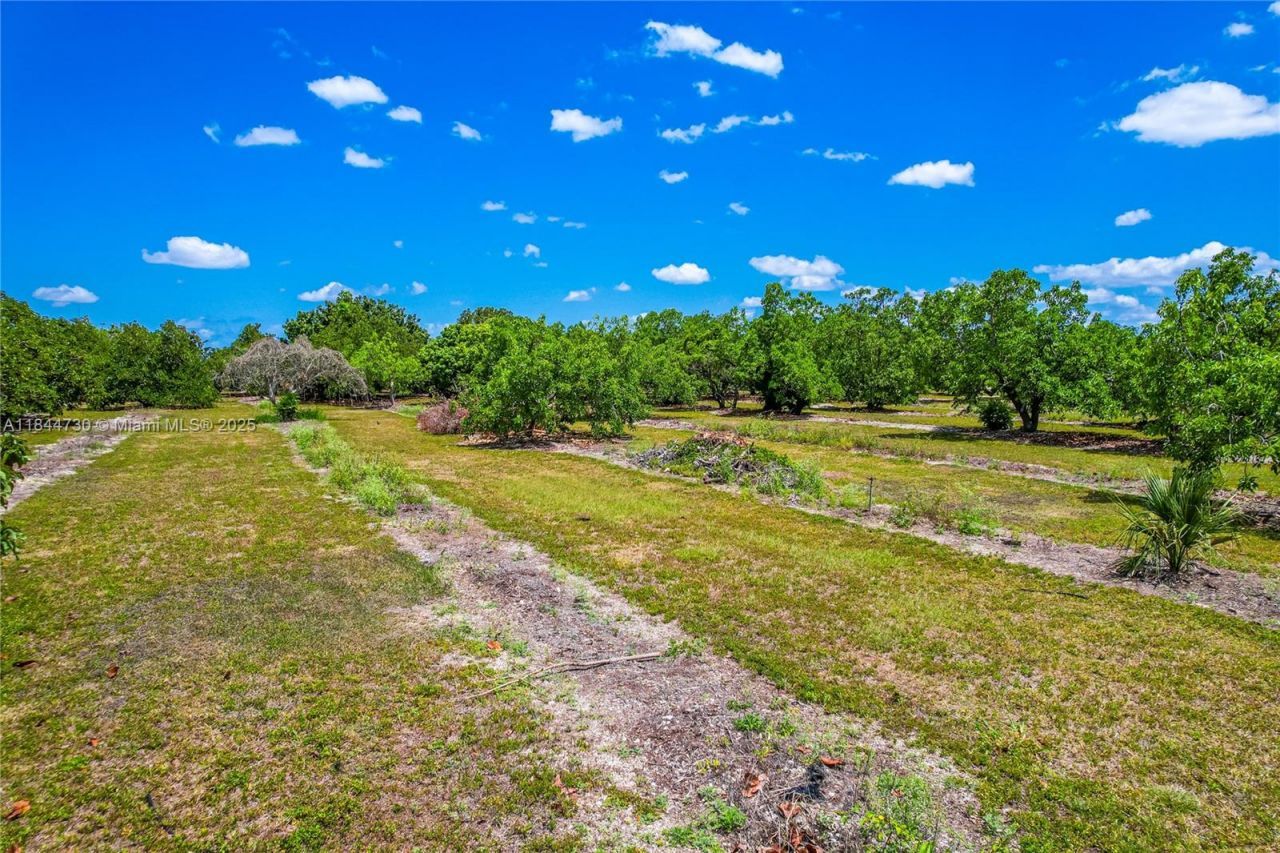 254xx SW 217ave, Homestead, FL 33031 Photo