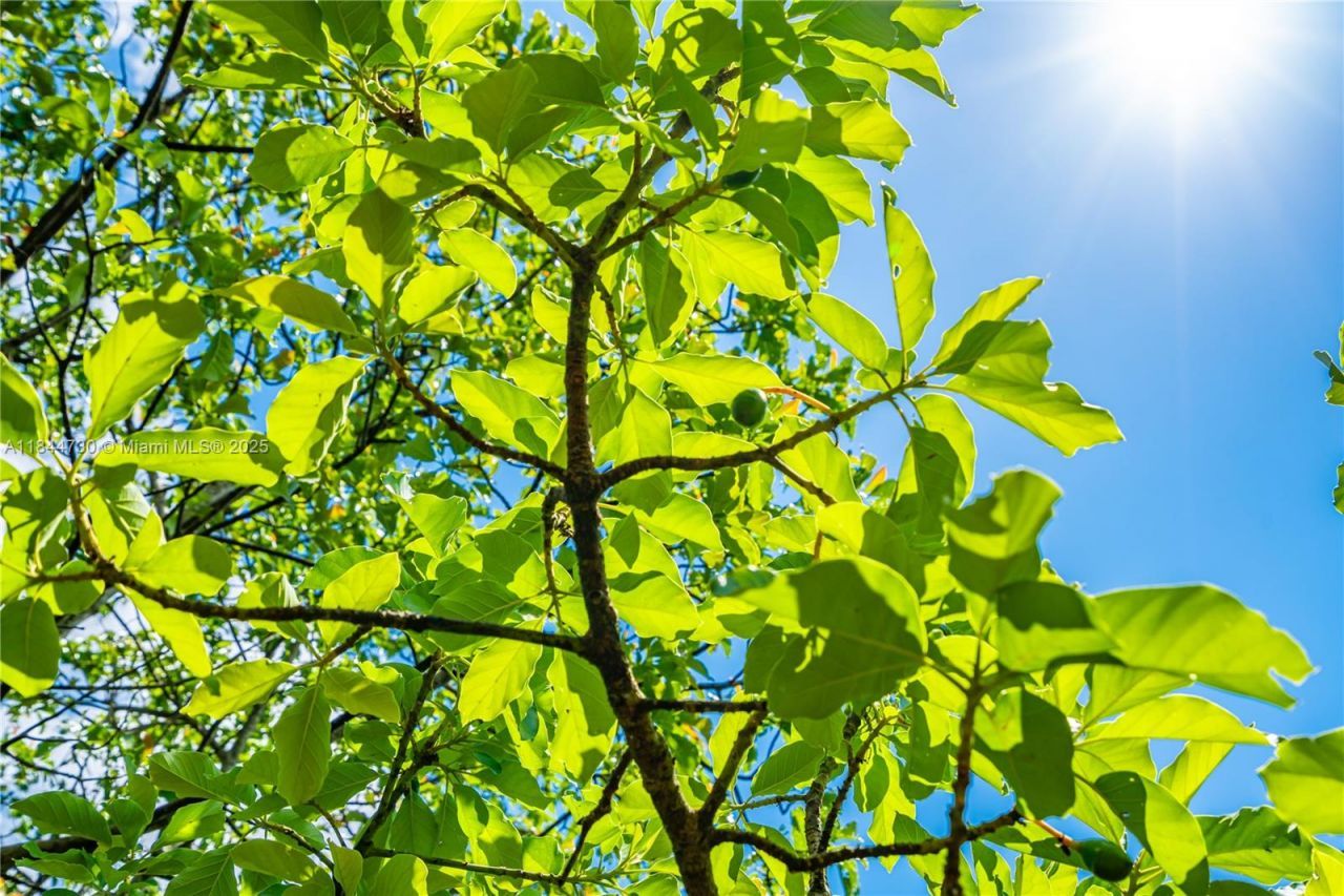 254xx SW 217ave, Homestead, FL 33031 Photo