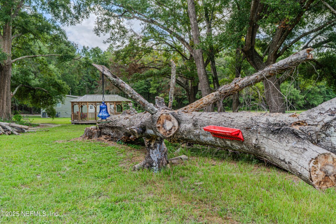 261 SW Beyond Court, Lake City, FL 32024 Photo