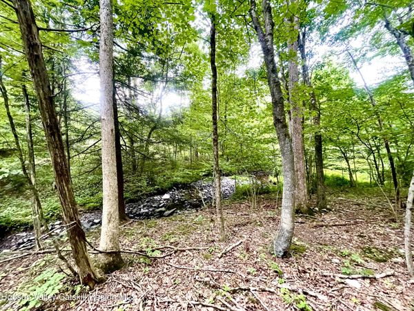 0 Cairo Junction Road, Catskill, NY 12414