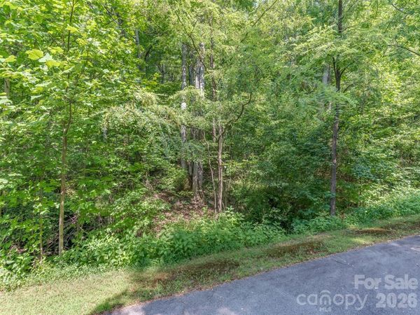 Lot 231 Chesterfield Drive, Mill Spring, NC 28756