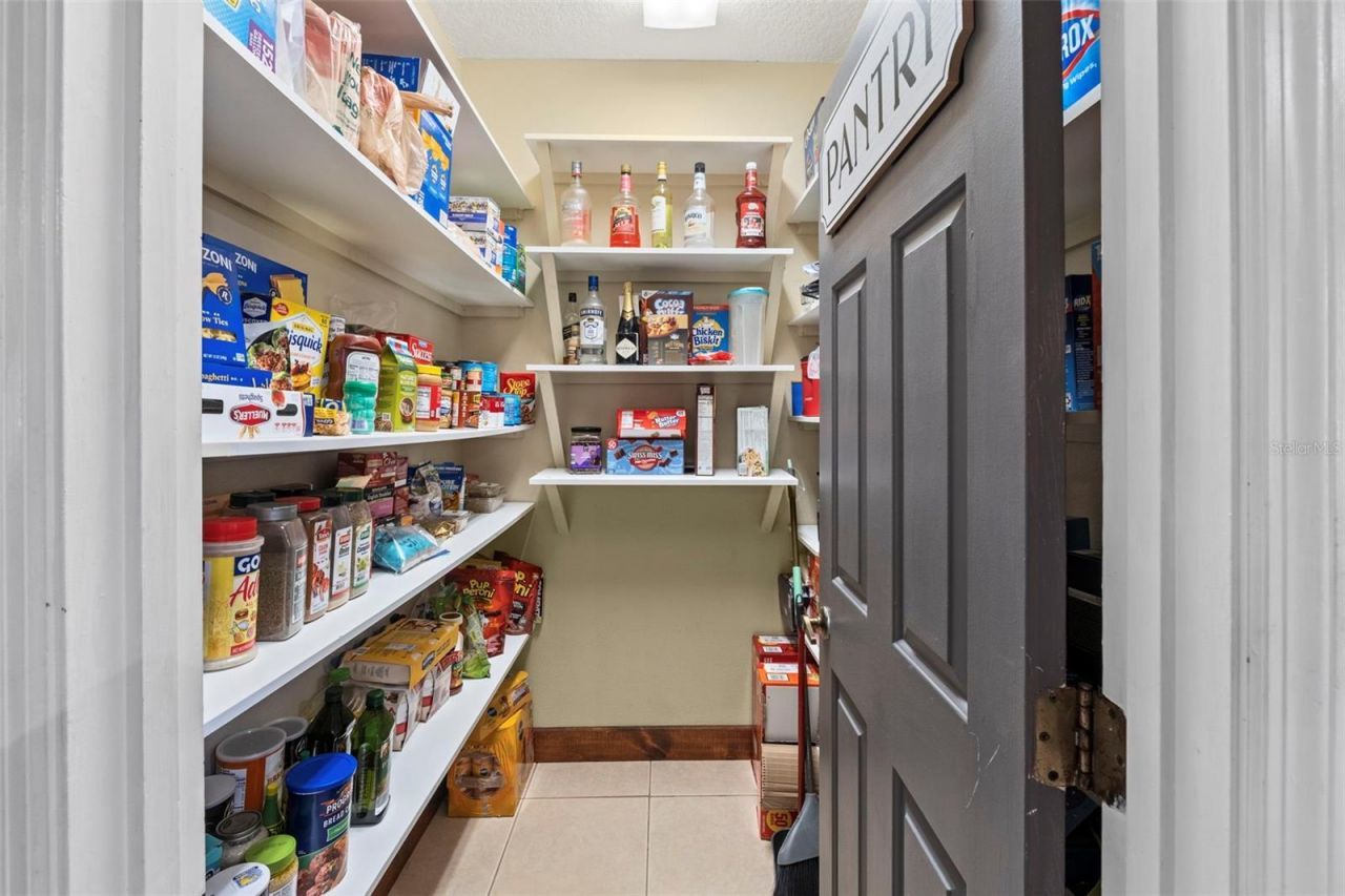 32137 Wolf Branch Lane, Sorrento, FL 32776 Photo