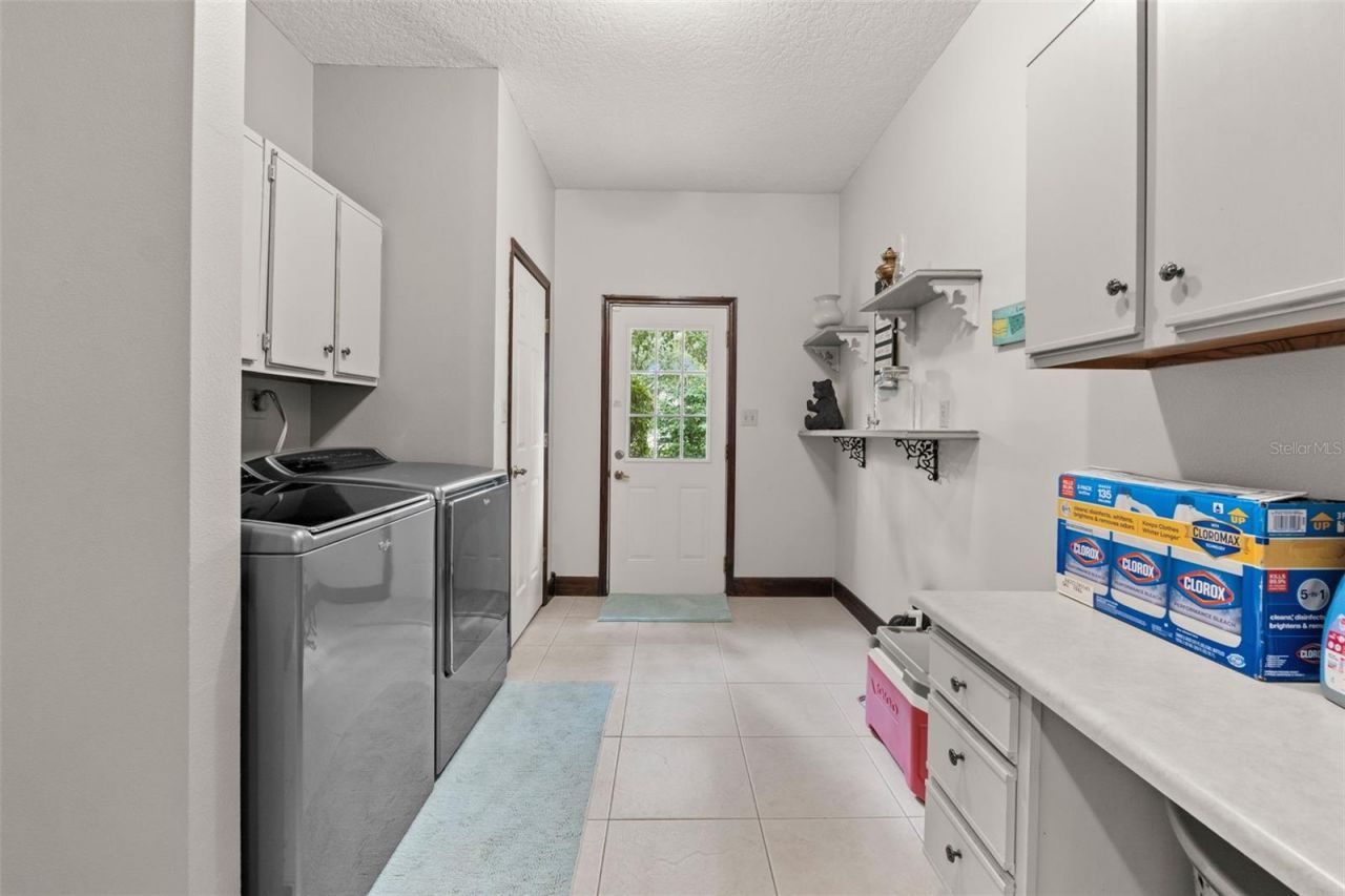 32137 Wolf Branch Lane, Sorrento, FL 32776 Photo