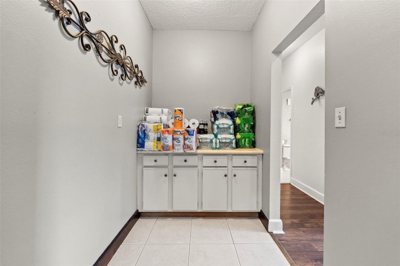 32137 Wolf Branch Lane, Sorrento, FL 32776 Photo
