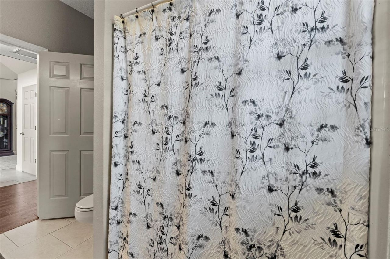 32137 Wolf Branch Lane, Sorrento, FL 32776 Photo