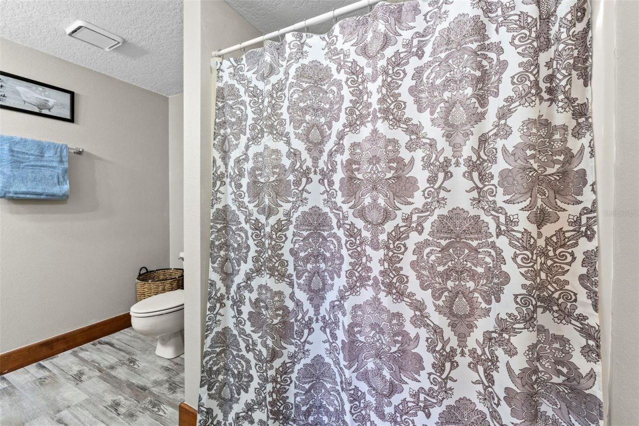 32137 Wolf Branch Lane, Sorrento, FL 32776 Photo