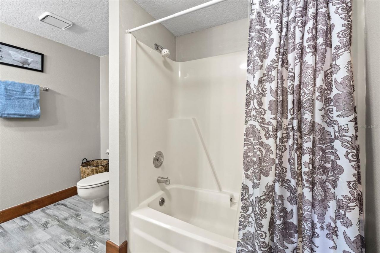 32137 Wolf Branch Lane, Sorrento, FL 32776 Photo