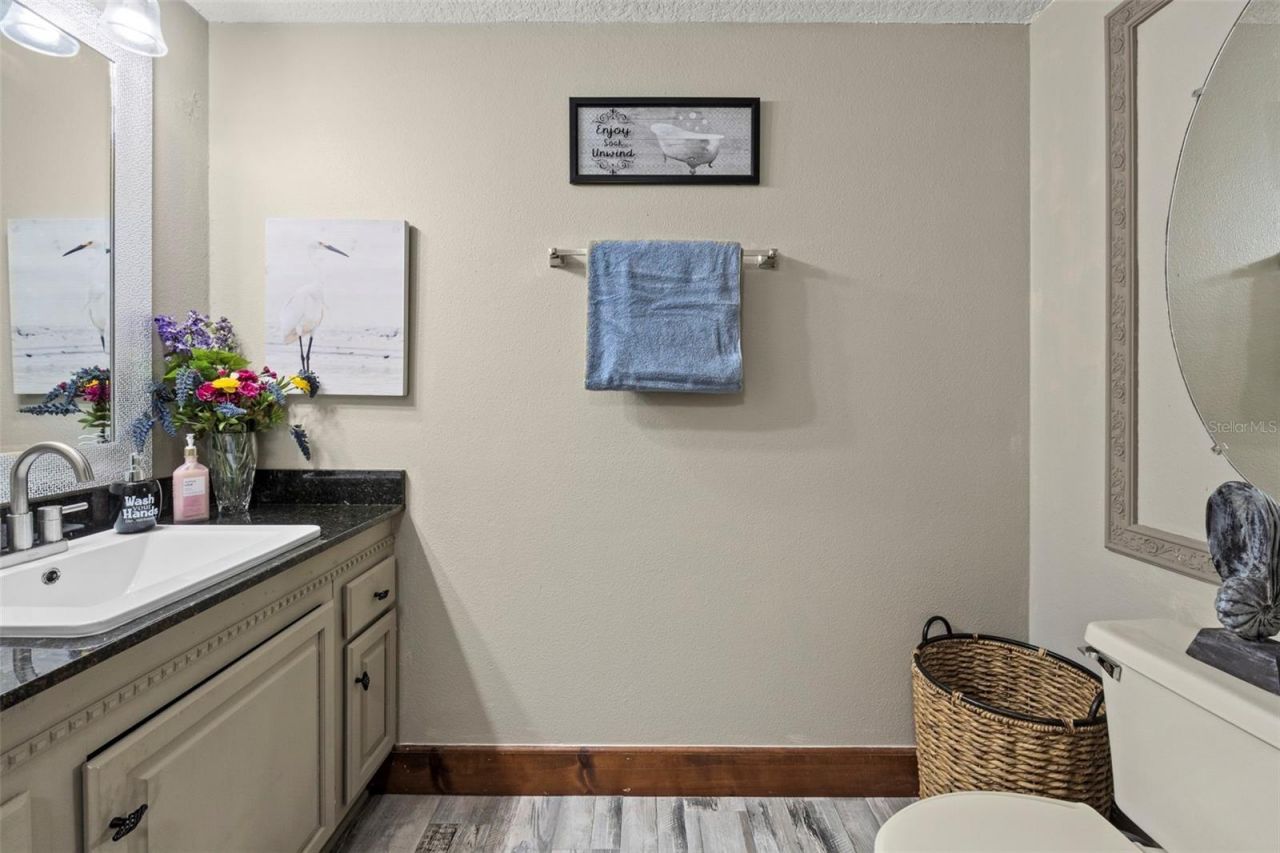 32137 Wolf Branch Lane, Sorrento, FL 32776 Photo