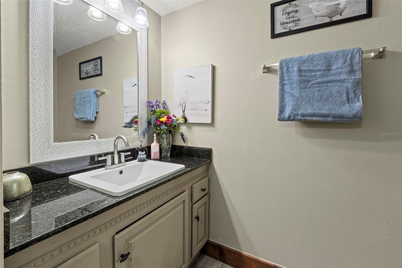 32137 Wolf Branch Lane, Sorrento, FL 32776 Photo