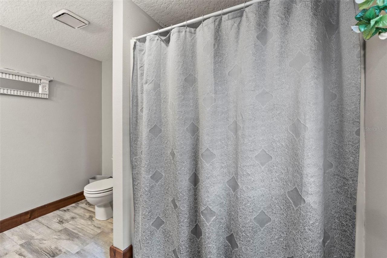 32137 Wolf Branch Lane, Sorrento, FL 32776 Photo