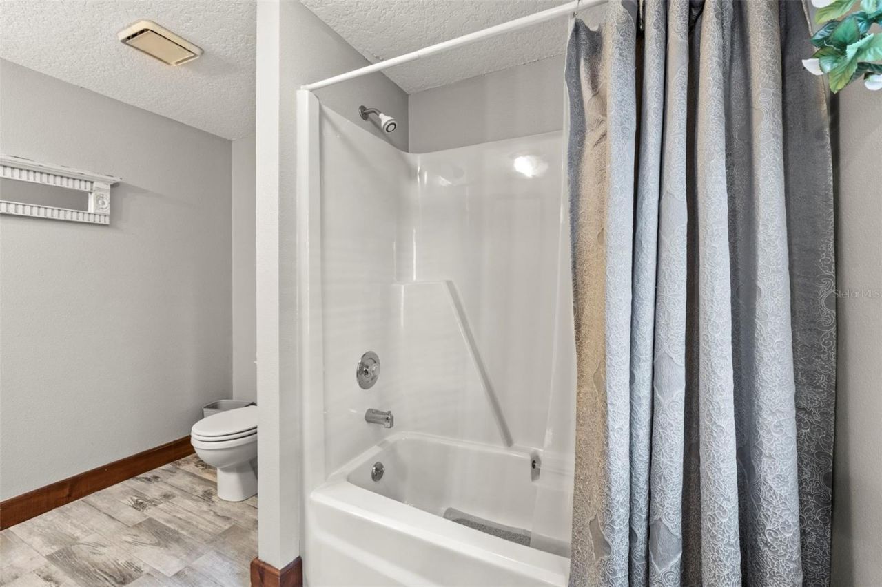 32137 Wolf Branch Lane, Sorrento, FL 32776 Photo