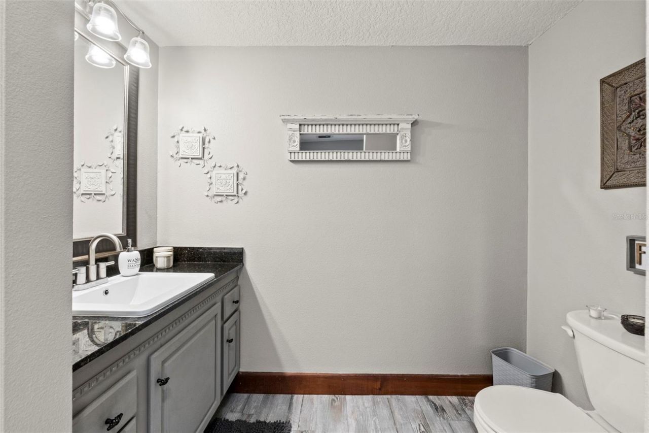 32137 Wolf Branch Lane, Sorrento, FL 32776 Photo