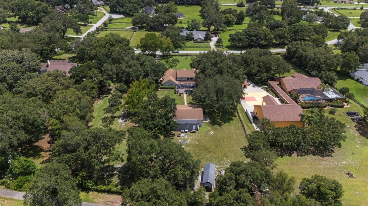32137 Wolf Branch Lane, Sorrento, FL 32776 Photo