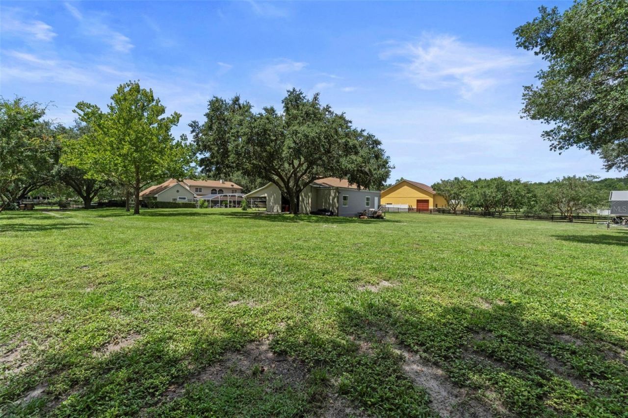 32137 Wolf Branch Lane, Sorrento, FL 32776 Photo