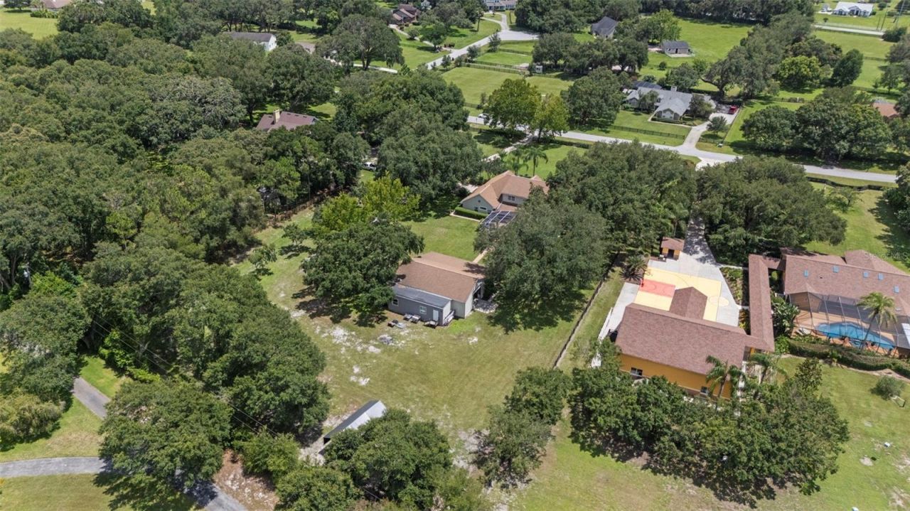 32137 Wolf Branch Lane, Sorrento, FL 32776 Photo