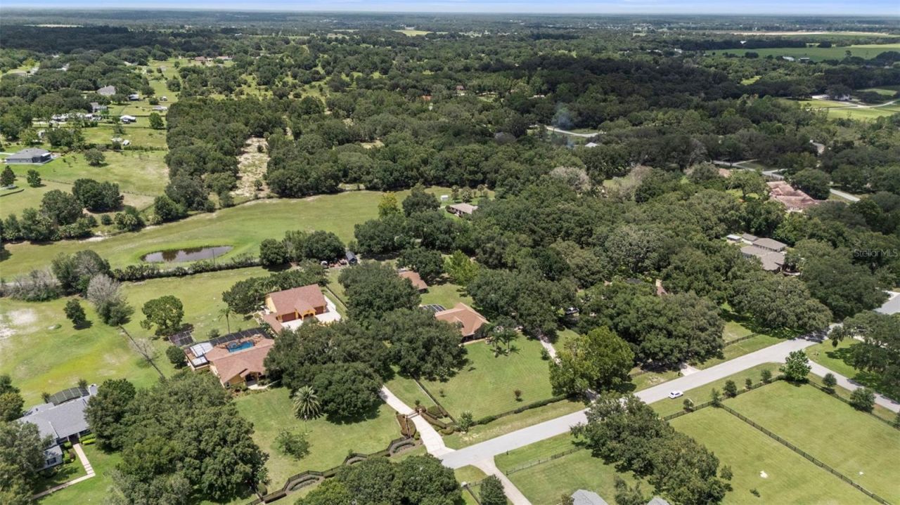 32137 Wolf Branch Lane, Sorrento, FL 32776 Photo