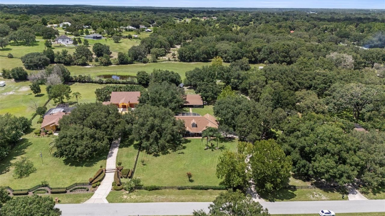 32137 Wolf Branch Lane, Sorrento, FL 32776 Photo