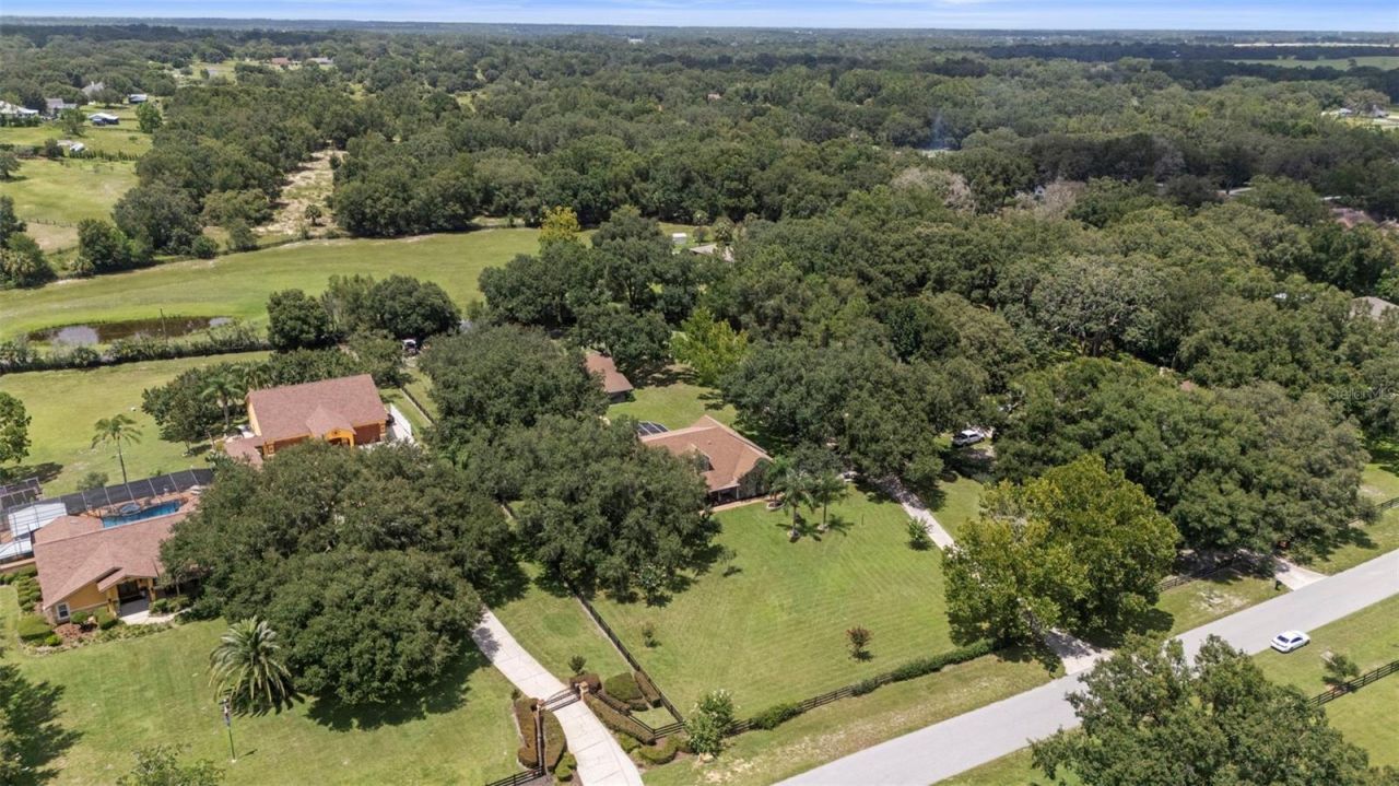 32137 Wolf Branch Lane, Sorrento, FL 32776 Photo