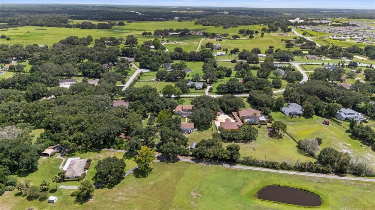 32137 Wolf Branch Lane, Sorrento, FL 32776 Photo