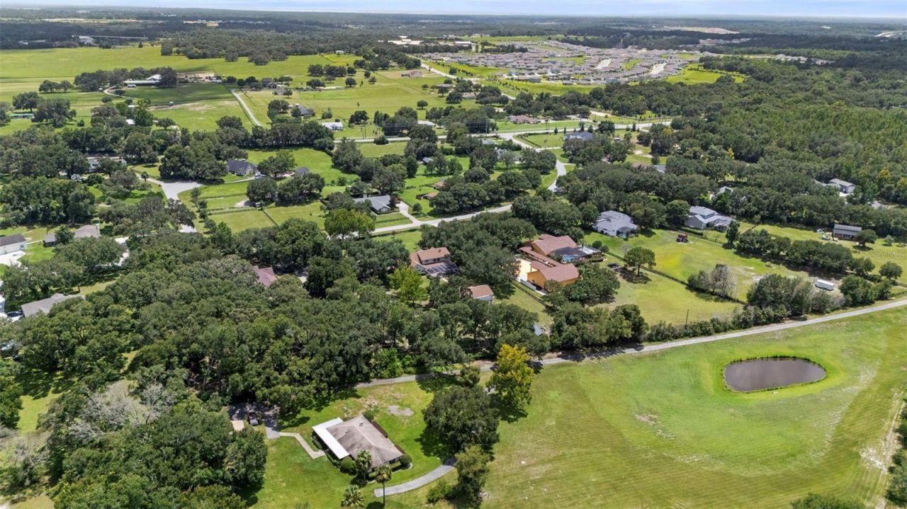 32137 Wolf Branch Lane, Sorrento, FL 32776 Photo