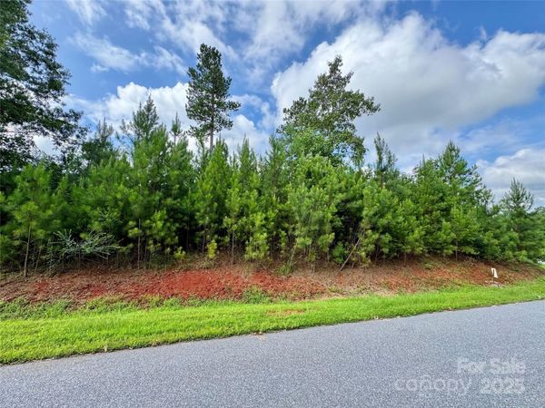 2039 Lake Vista Drive NE, Connelly Springs, NC 28612