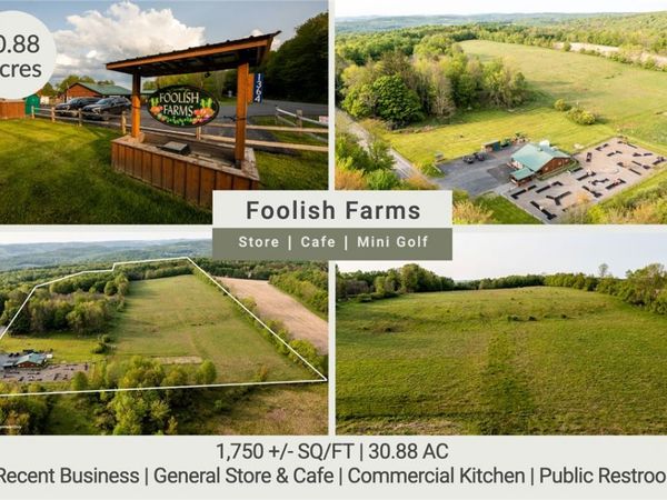 1364 County Highway 12, Mount Vision, NY 13810