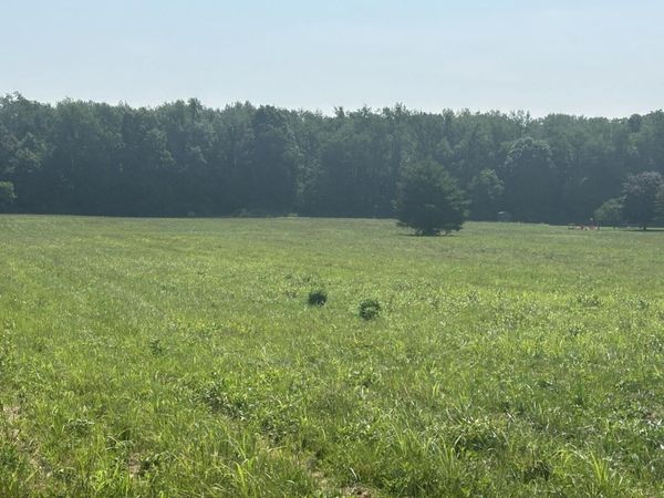 62619 N CR 365 Road, Lawrence, MI 49064