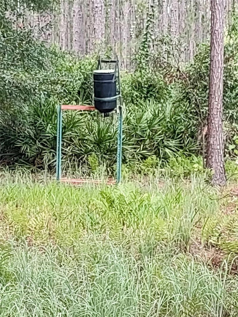 4651 NE 108th Place, Chiefland, FL 32626 Photo