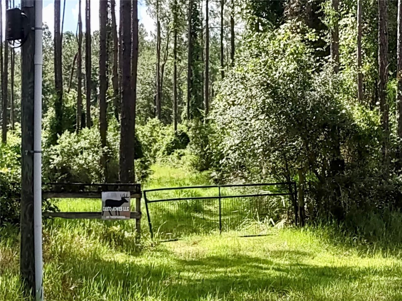 4651 NE 108th Place, Chiefland, FL 32626 Photo