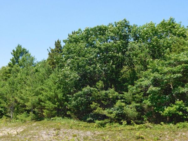 TBD E M-134 HWY, De Tour Village, MI 49725