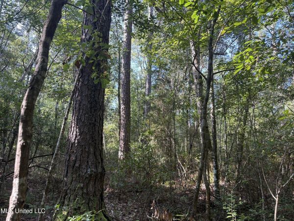 Washam Road, Lucedale, MS 39452