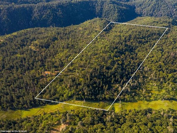 15793 Black Prince Rd, Pioneer, CA 95666