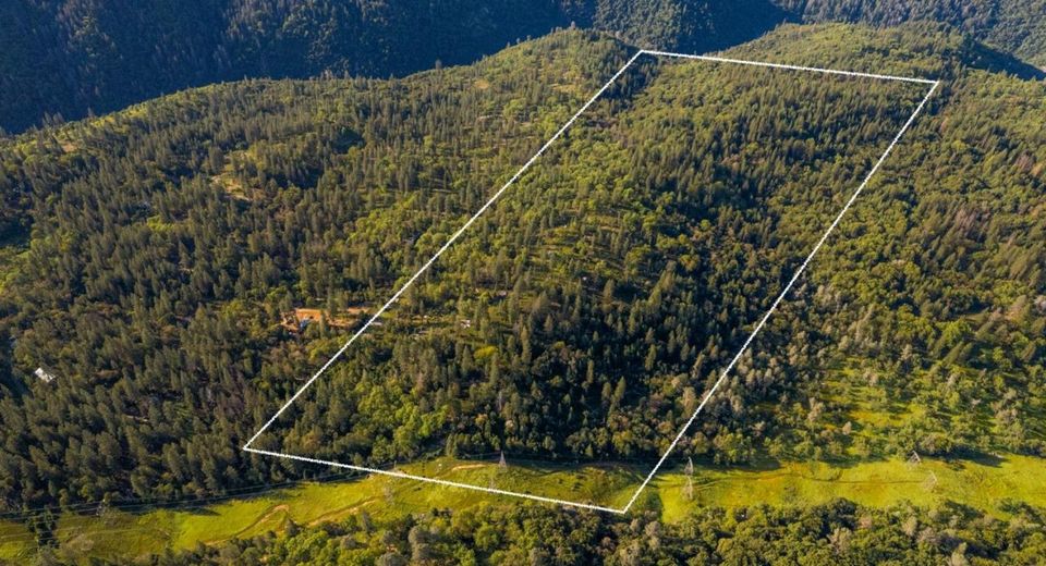 15793 Black Prince Rd, Pioneer, CA 95666 Photo