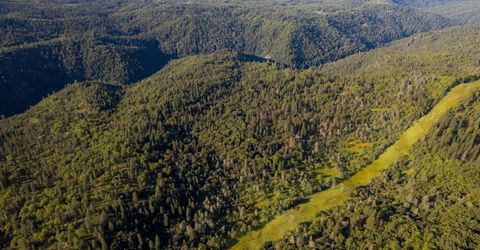 15793 Black Prince Rd, Pioneer, CA 95666 Photo