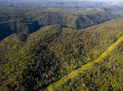 15793 Black Prince Rd, Pioneer, CA 95666 Photo