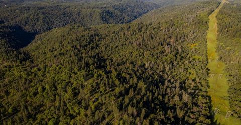 15793 Black Prince Rd, Pioneer, CA 95666 Photo