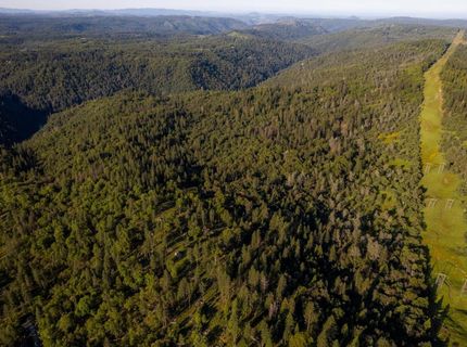 15793 Black Prince Rd, Pioneer, CA 95666 Photo