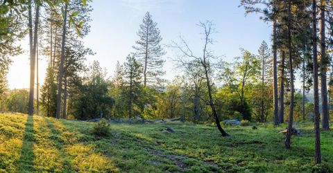 15793 Black Prince Rd, Pioneer, CA 95666 Photo