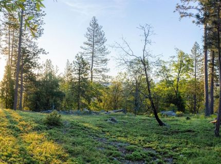 15793 Black Prince Rd, Pioneer, CA 95666 Photo