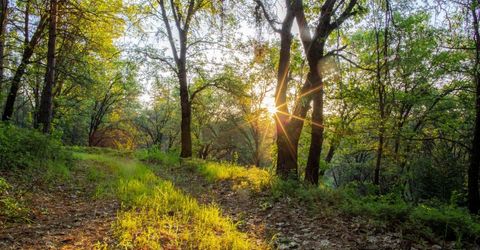 15793 Black Prince Rd, Pioneer, CA 95666 Photo