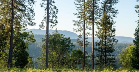 15793 Black Prince Rd, Pioneer, CA 95666 Photo